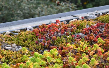 the cost of Ceann Loch green roof installation